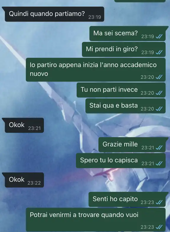 La partenza per L'Erasmus