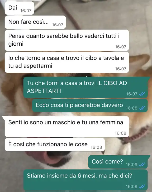 La convivenza imposta