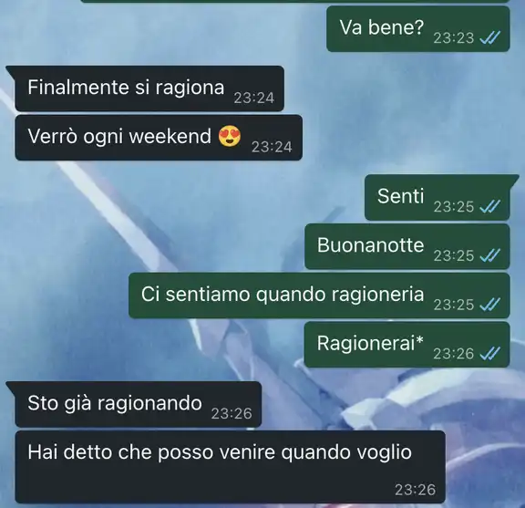 La partenza per L'Erasmus