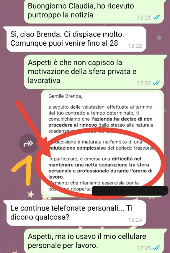 Il cellulare aziendale