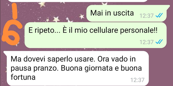 Il cellulare aziendale