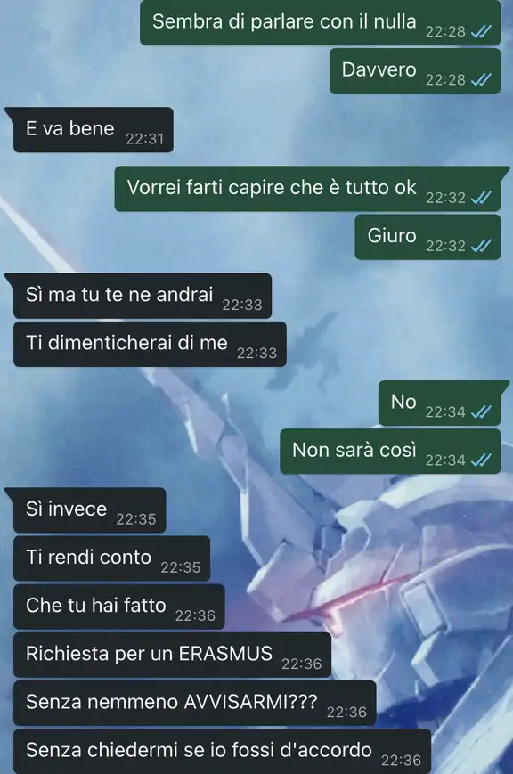 La partenza per L'Erasmus