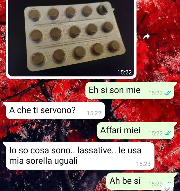 Le pasticche del tradimento