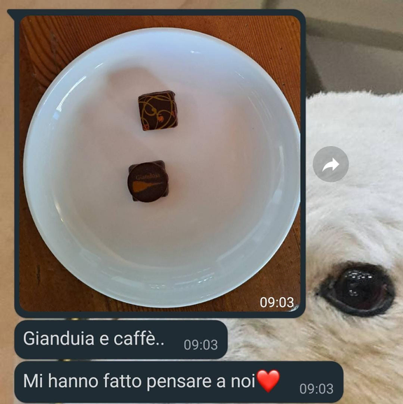 Non riuscire a scegliere