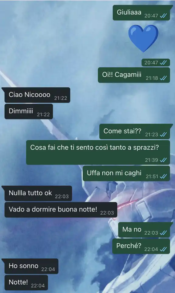 La partenza per L'Erasmus