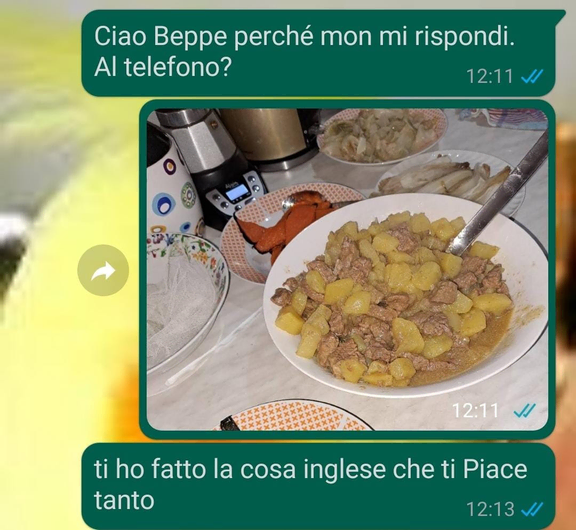 Il nipote ingrato